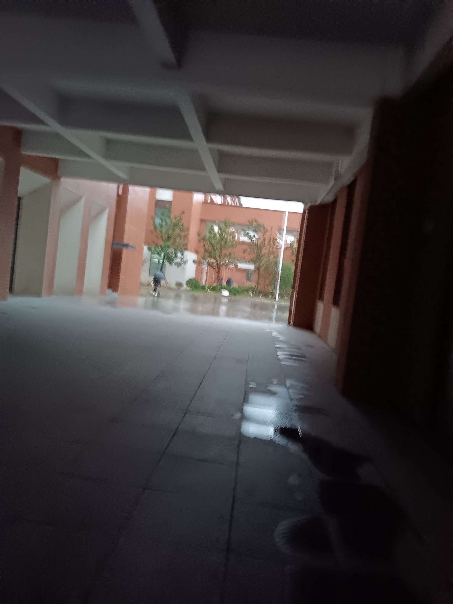 灵璧县第二中学