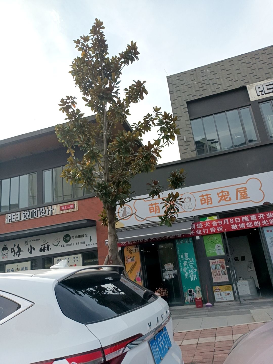 萌迹萌宠屋