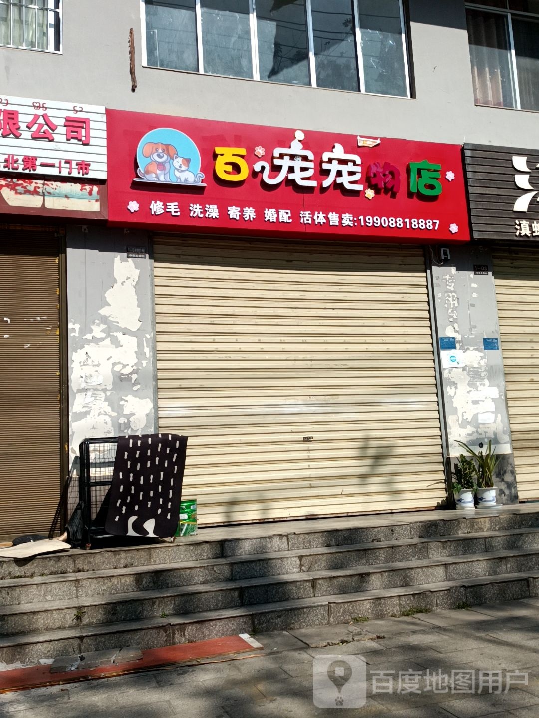 百宠宠物店