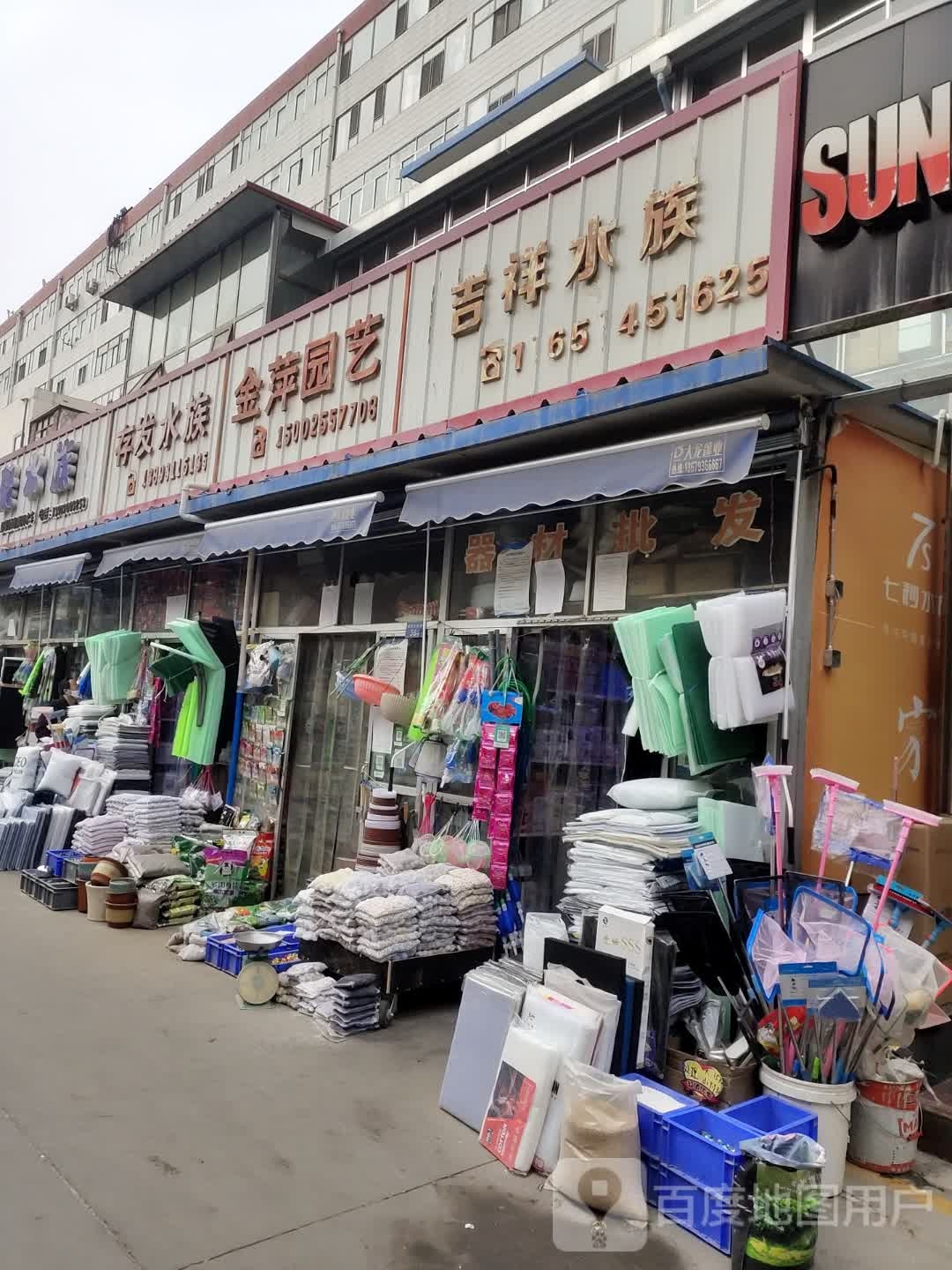 存发水族