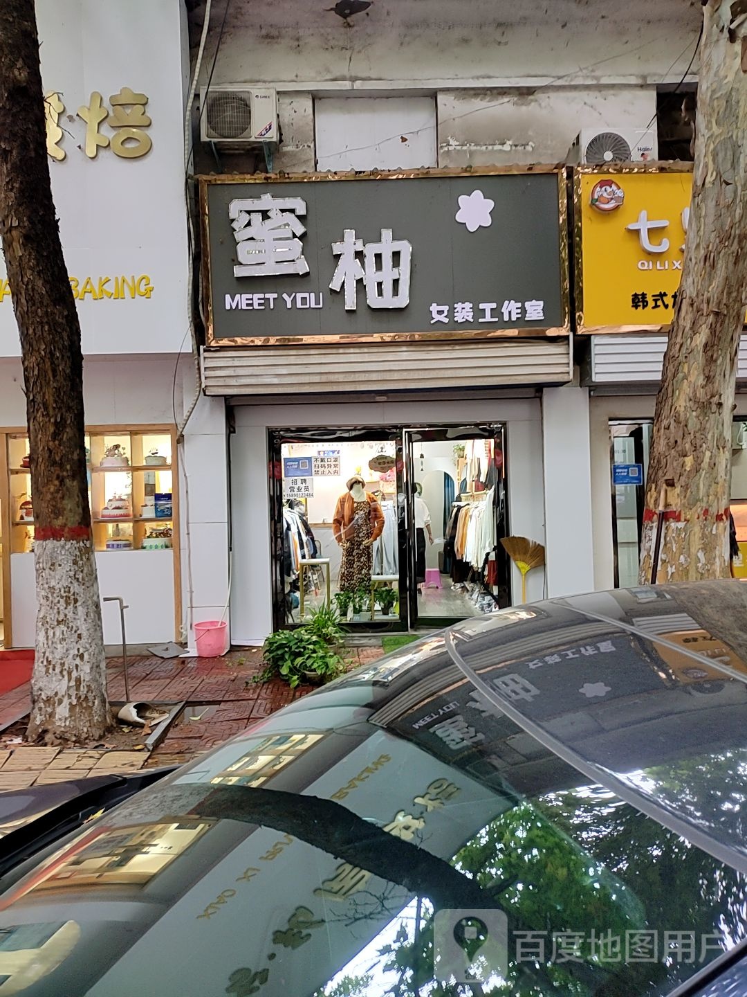 新密市蜜柚