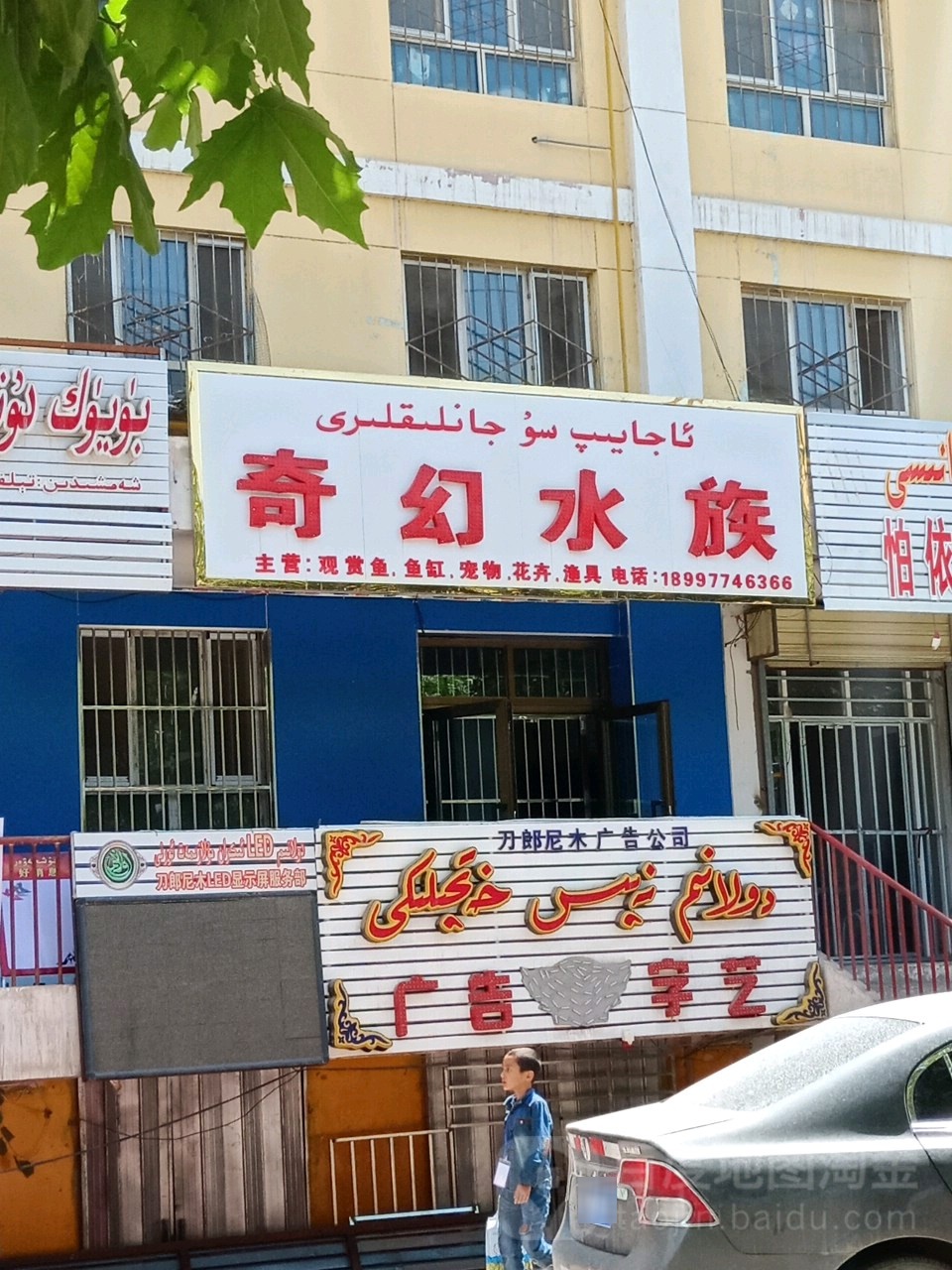 奇幻水族