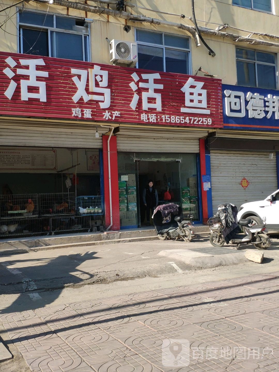 活鸡活鱼(花山路店)