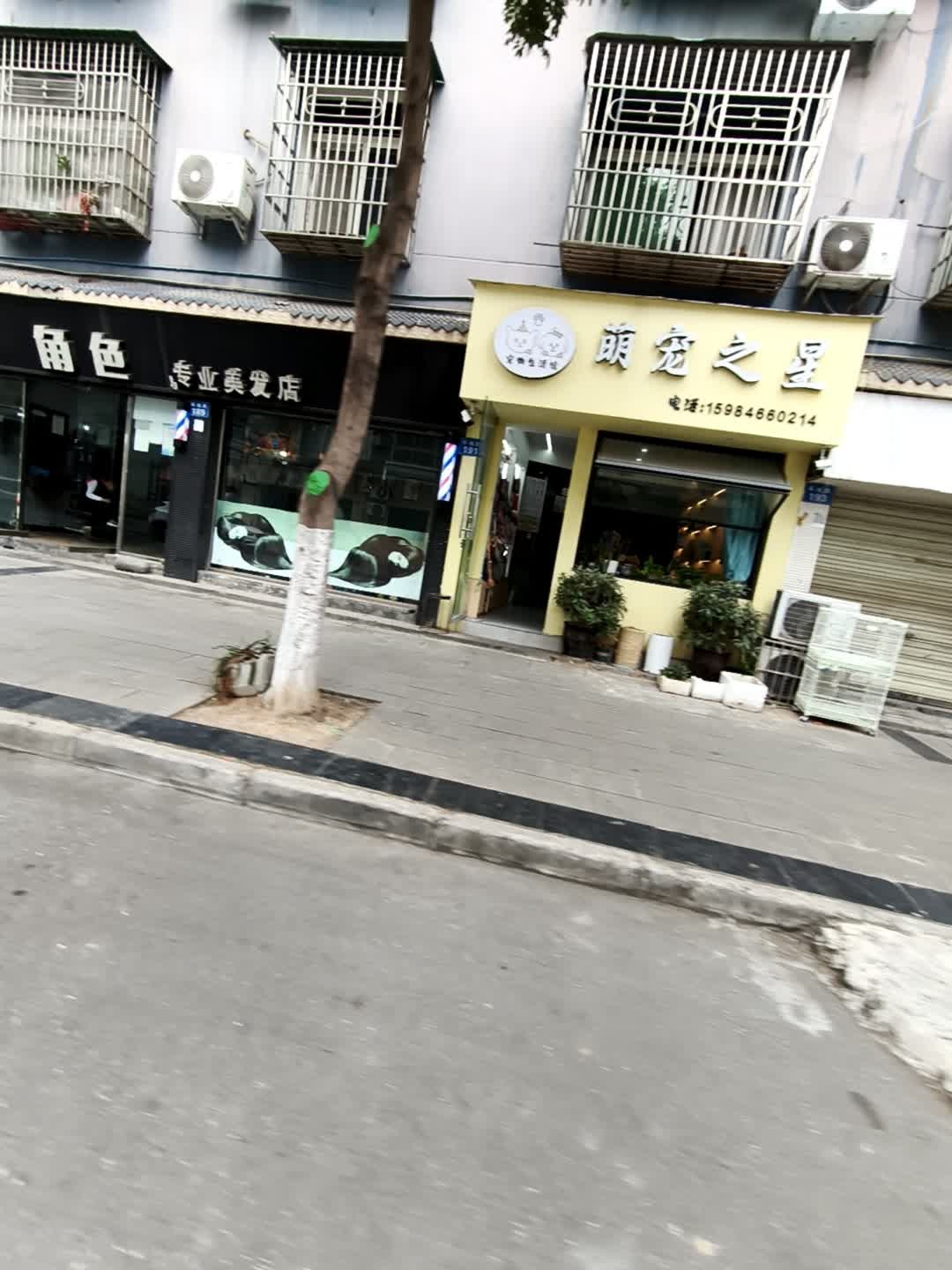 萌宠之星宠物SPA馆