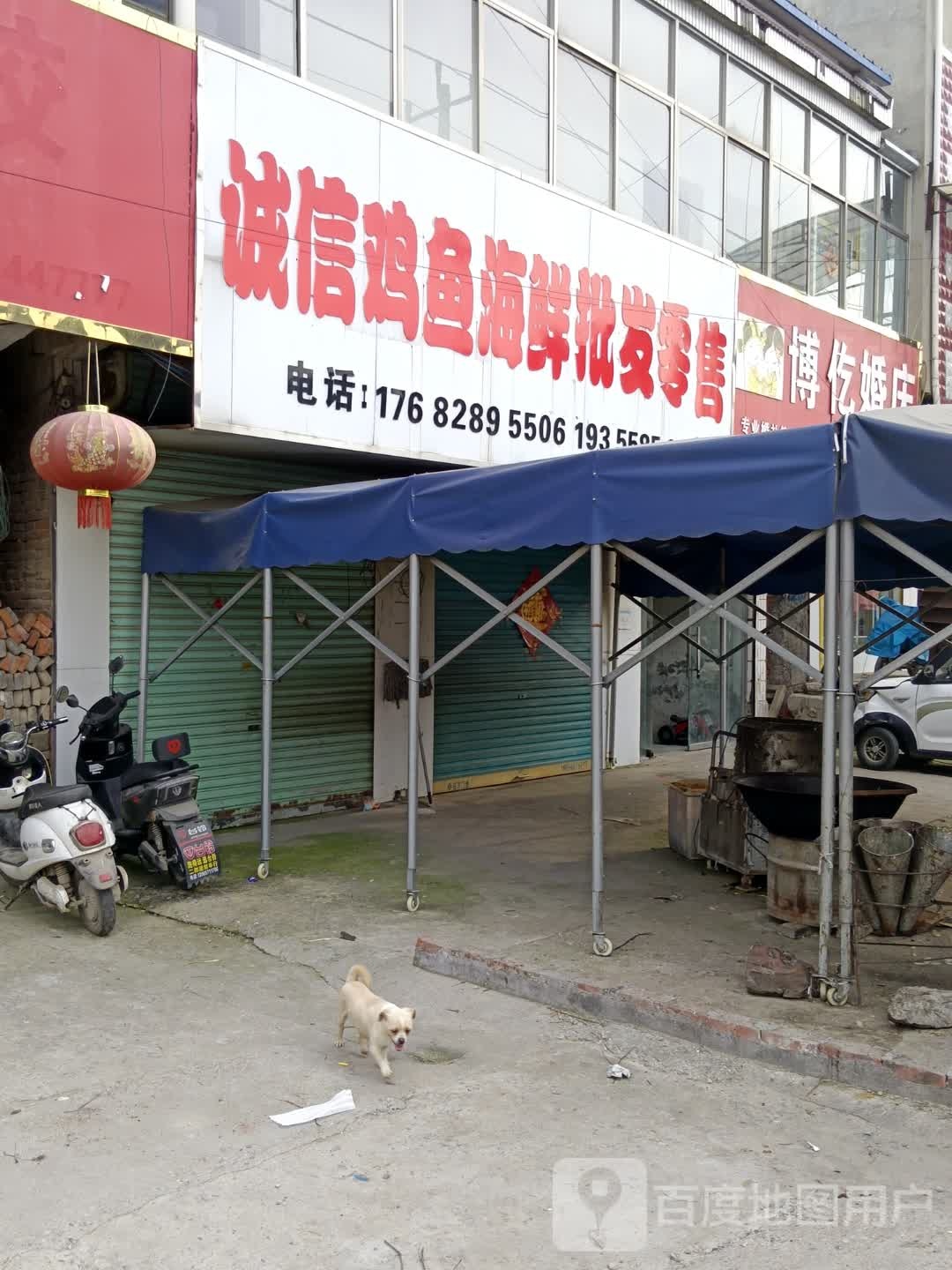 诚信鸡鱼海鲜批零售