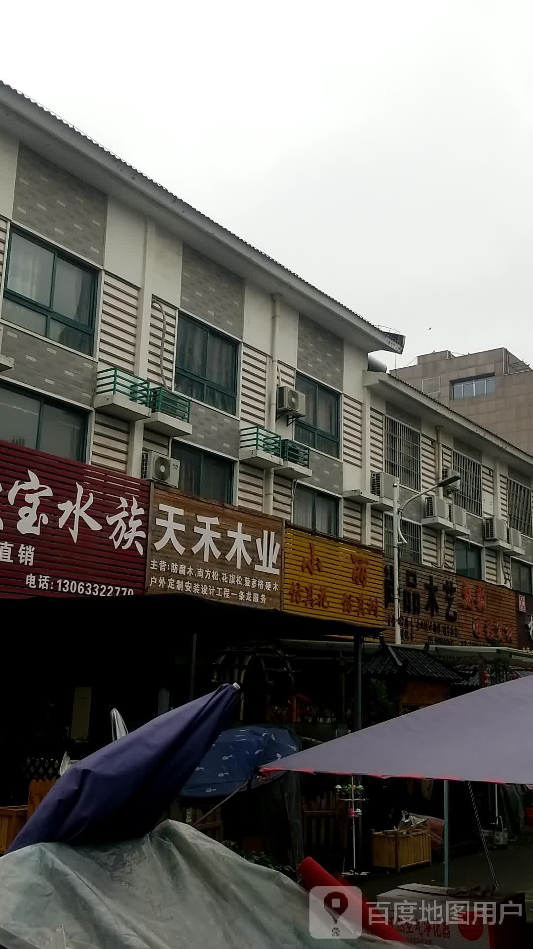 小丽仿真树仿真树