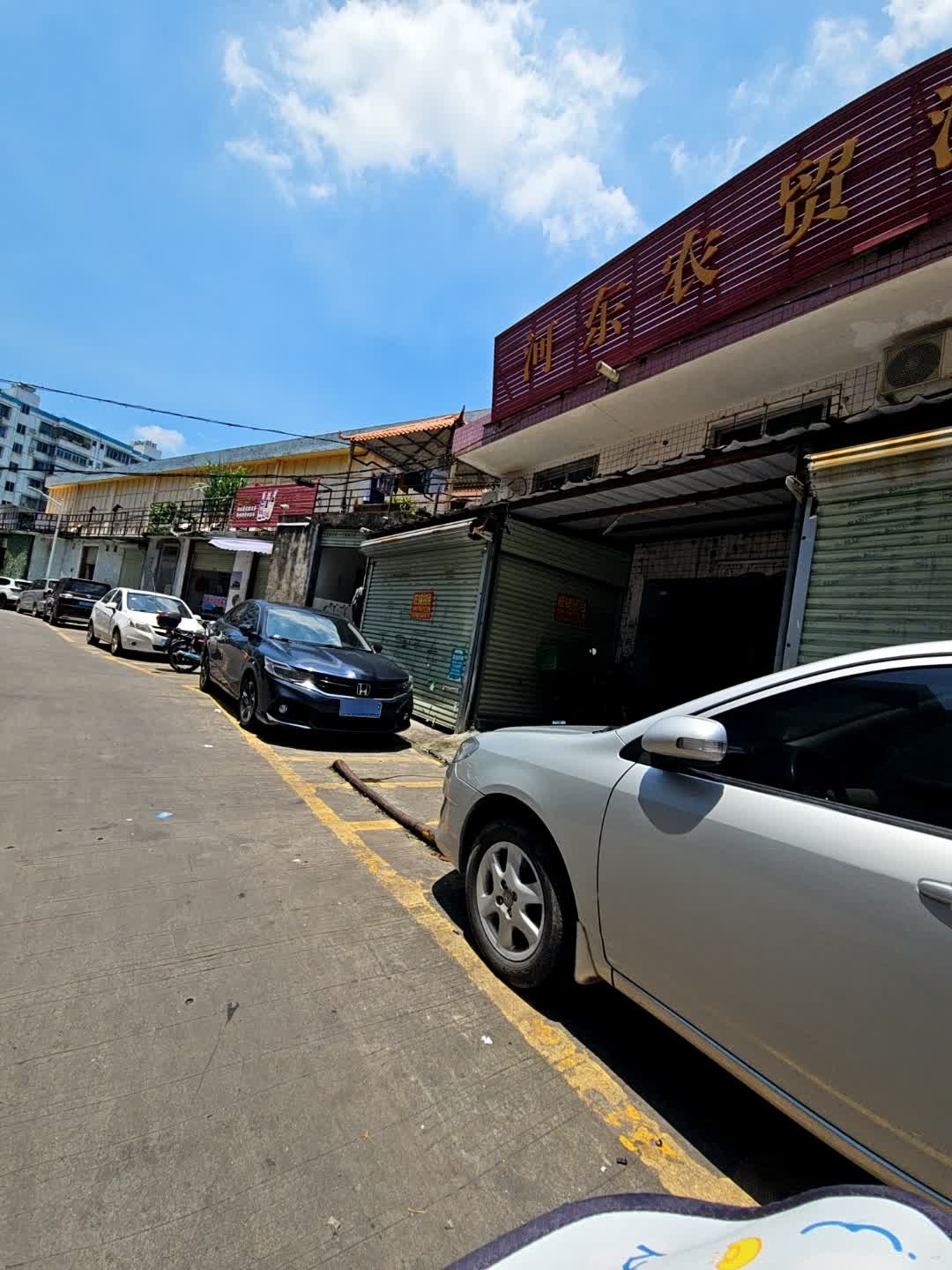 农贸海鲜批发市场