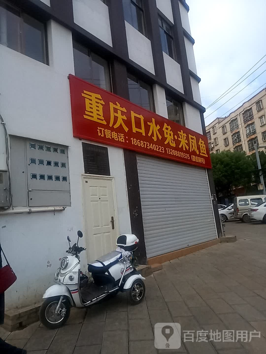 重庆口水兔莱凤鱼