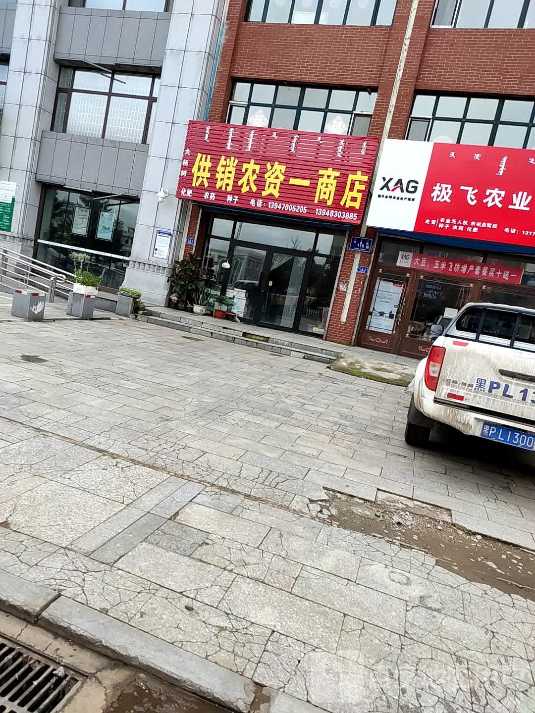 大杨树供销农资一商店