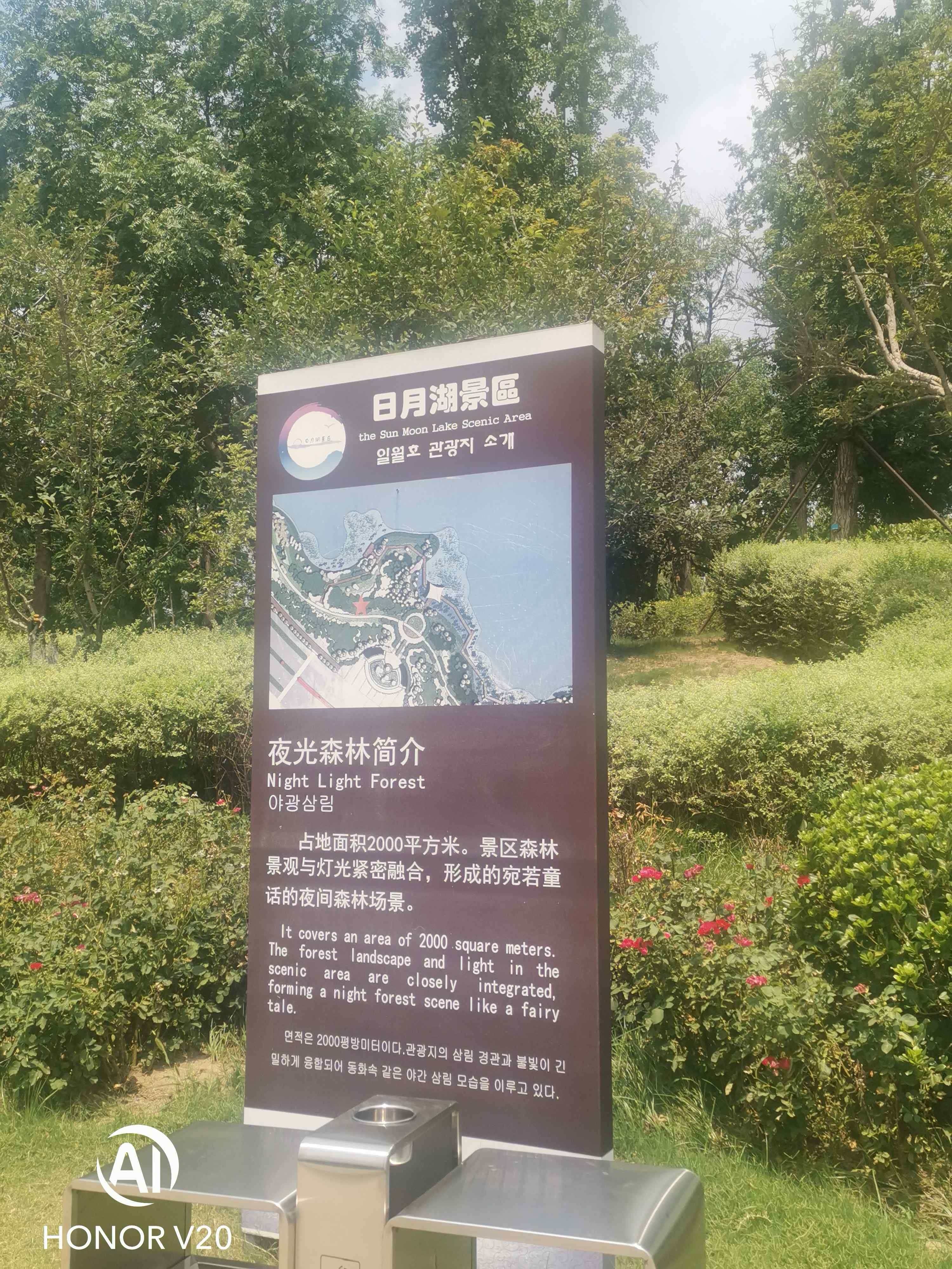 夜光森林