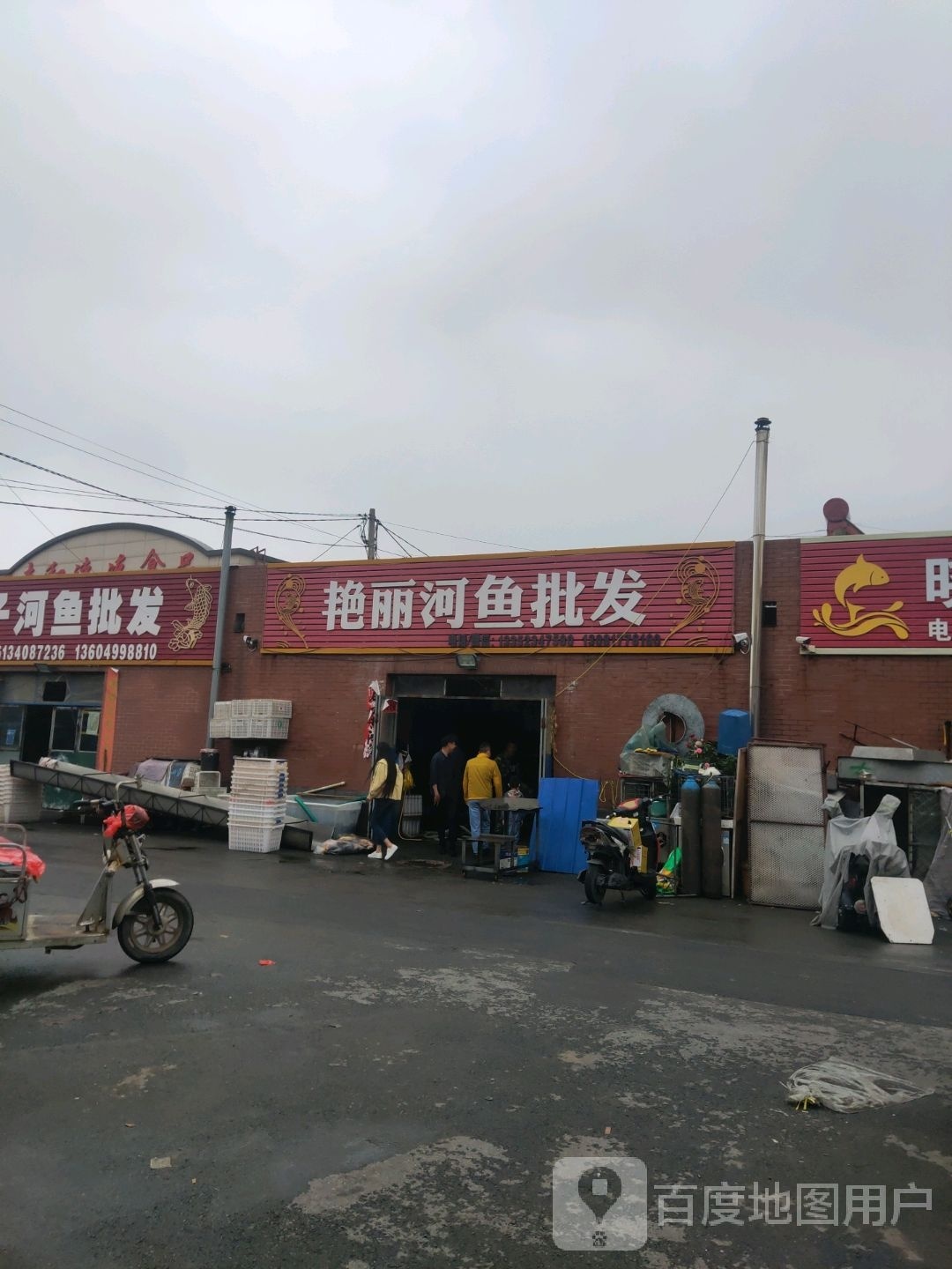 艳丽河鱼批发