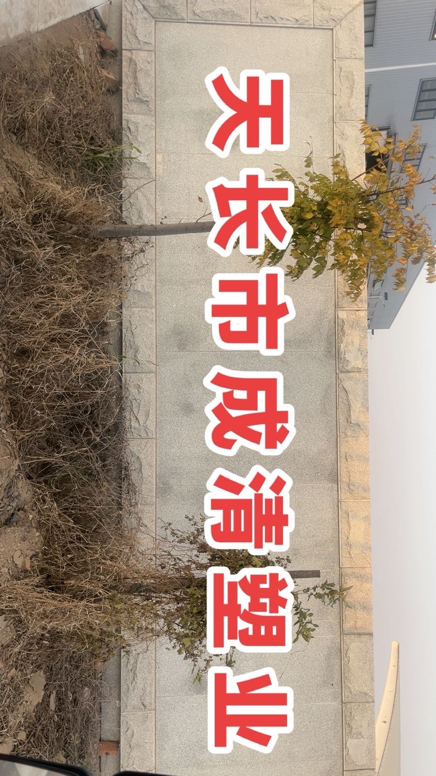 天长沙成清塑业