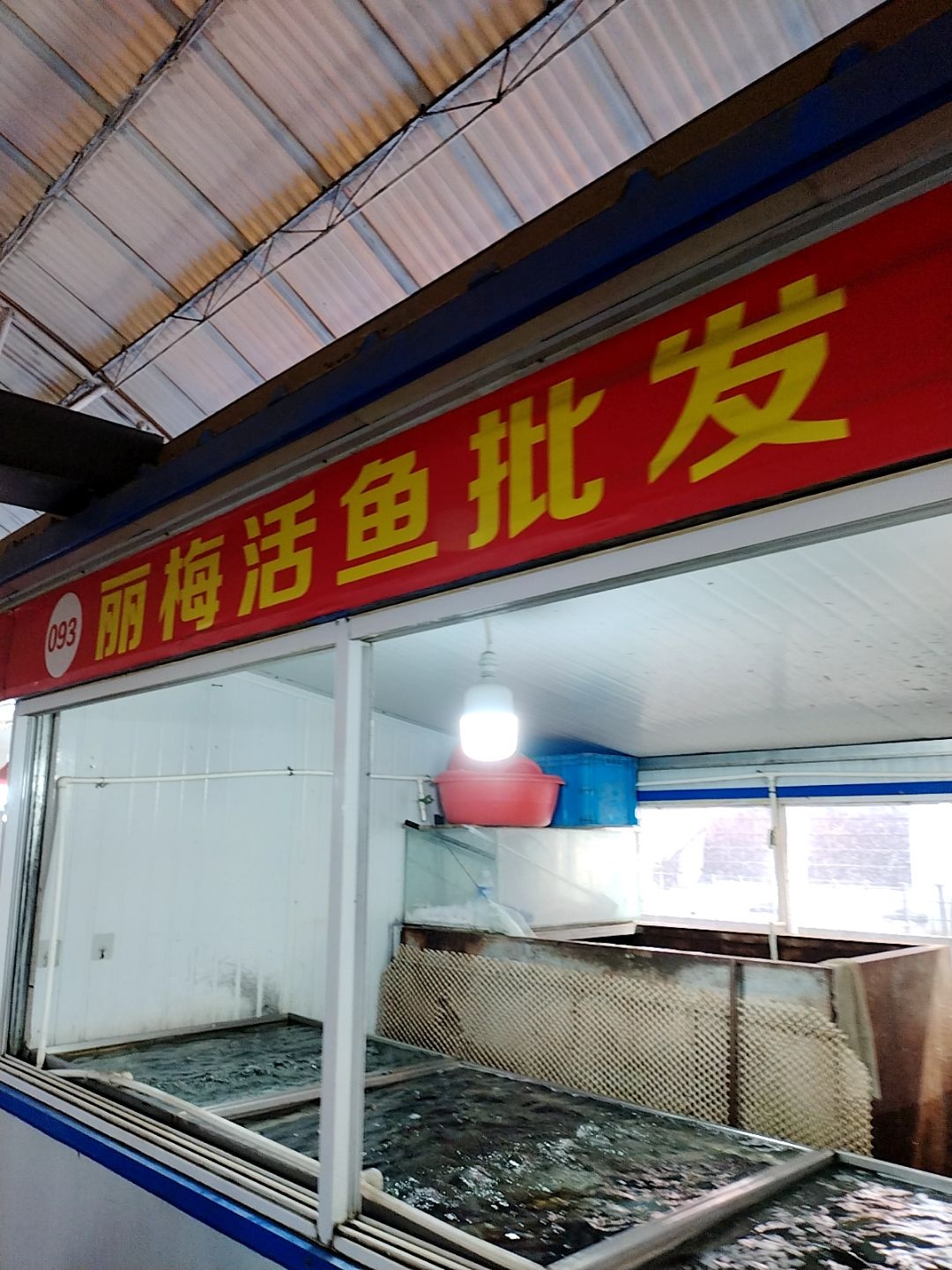 丽梅活鱼批发