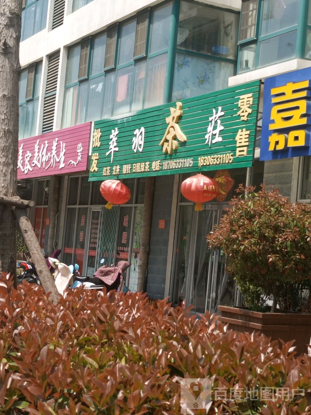 至尊丽人美容美体养生