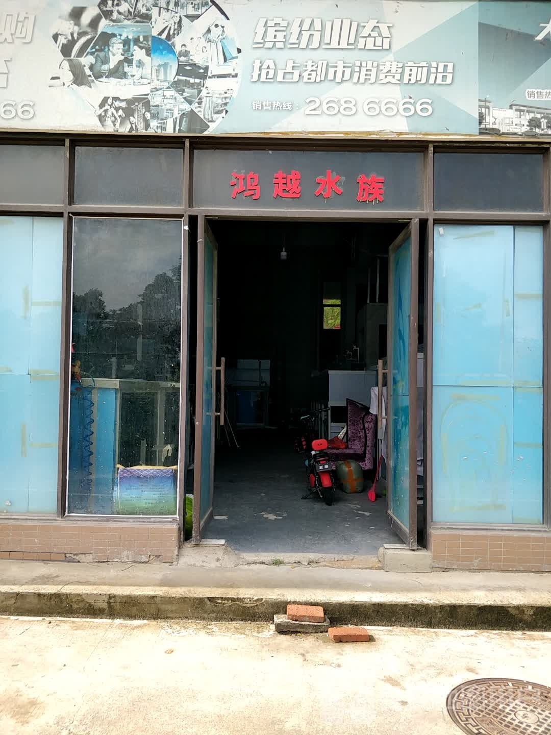 鸿越水族