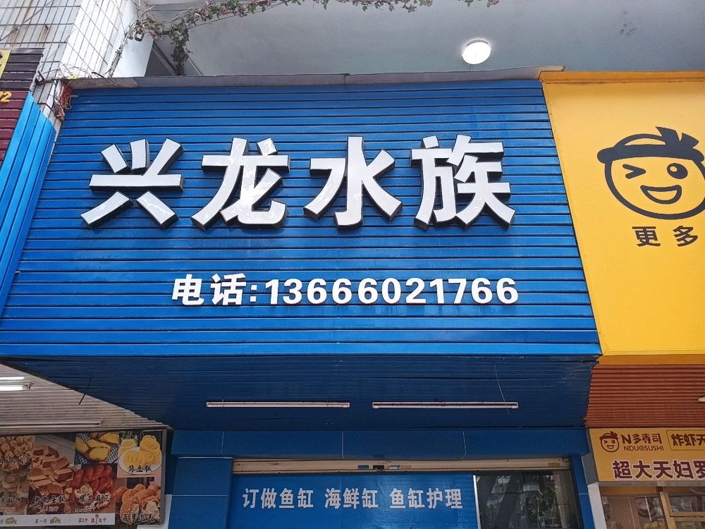 粹兴啼龙玷水族(嘉园路店)