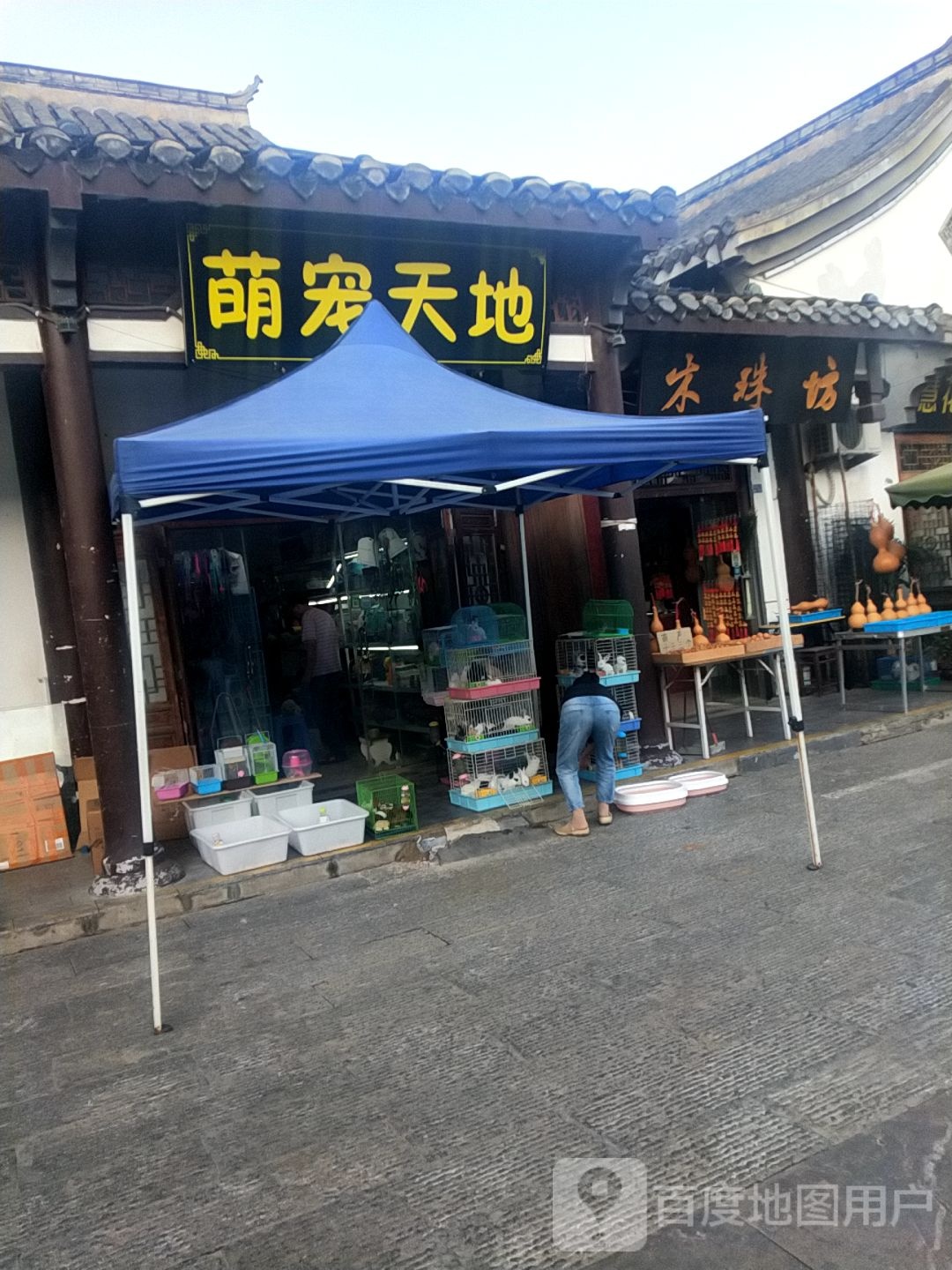 萌宠天地