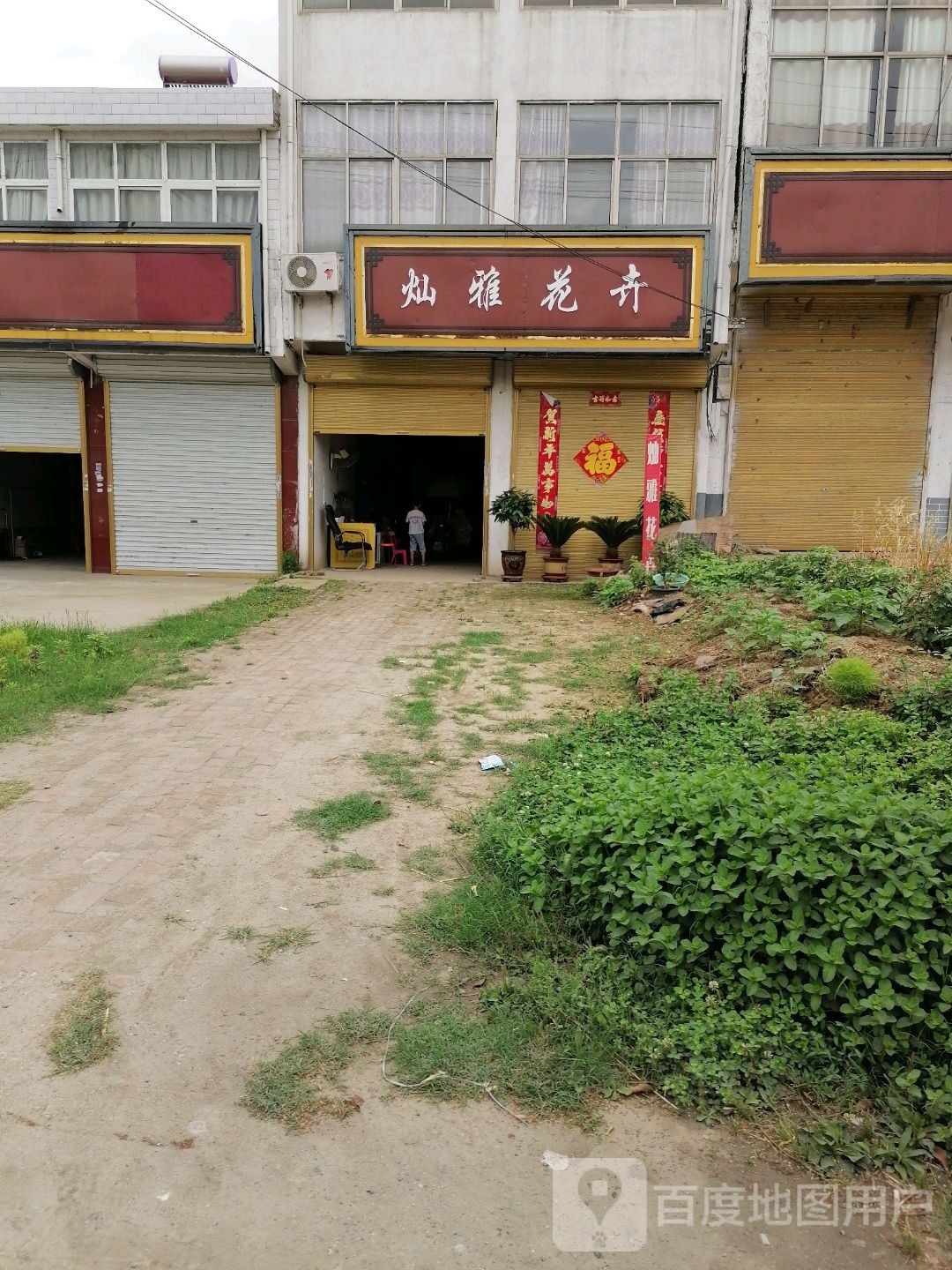 平舆县东和店镇灿雅花卉