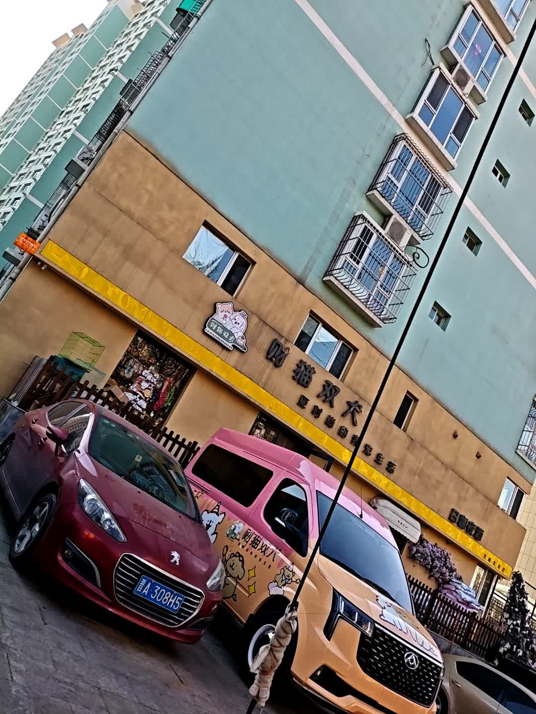 财猫双犬(天峰北苑店)