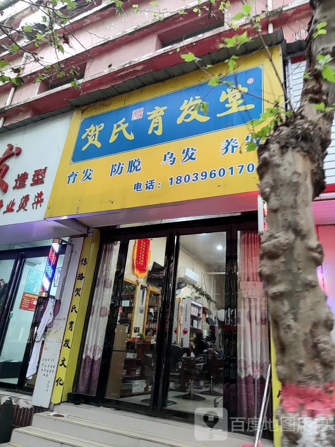 汝南县贺氏育发堂(古城大道店)