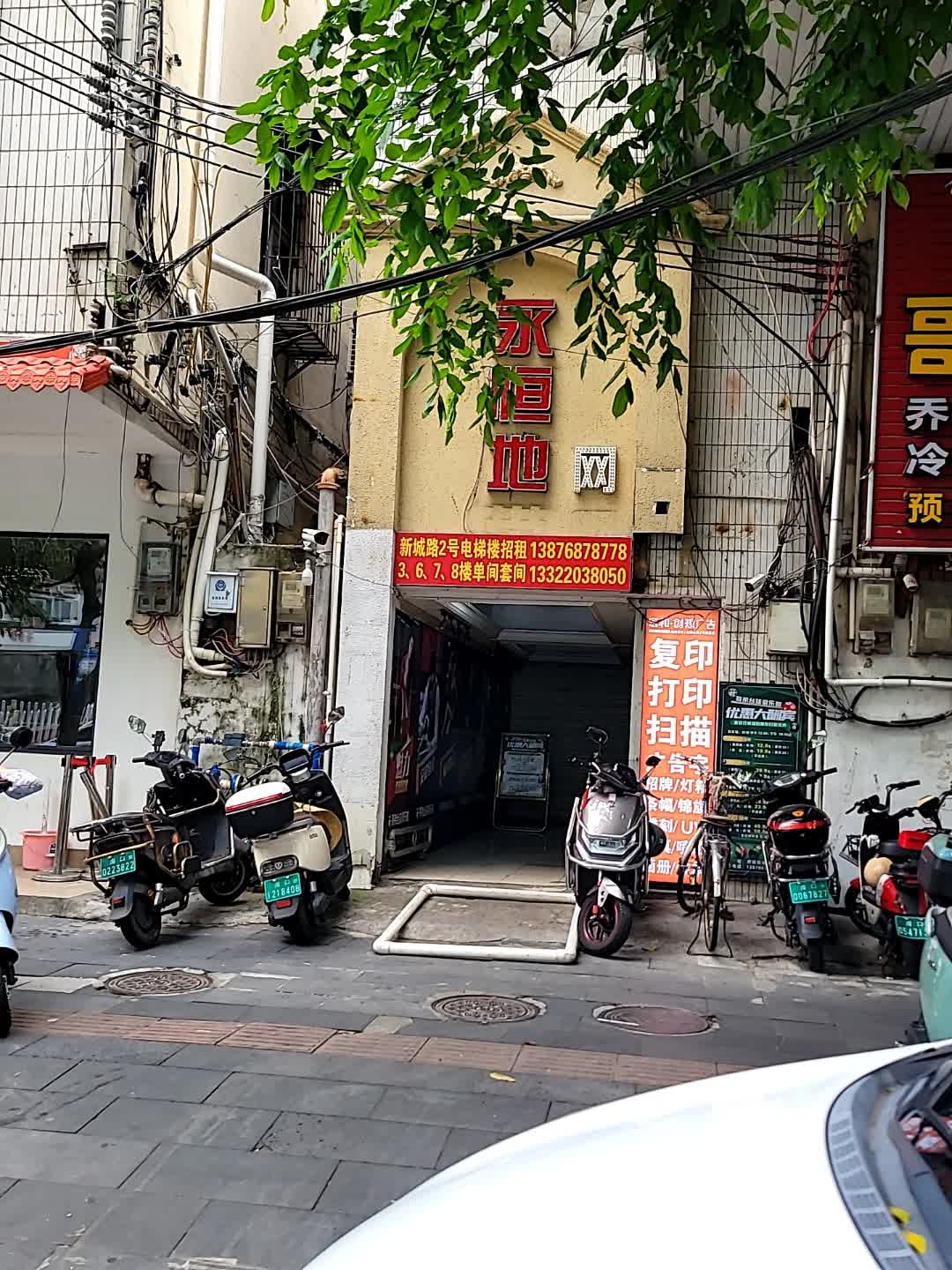 永恒地网