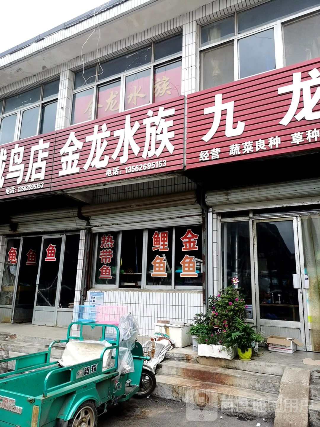 金龙水族(市场街店)
