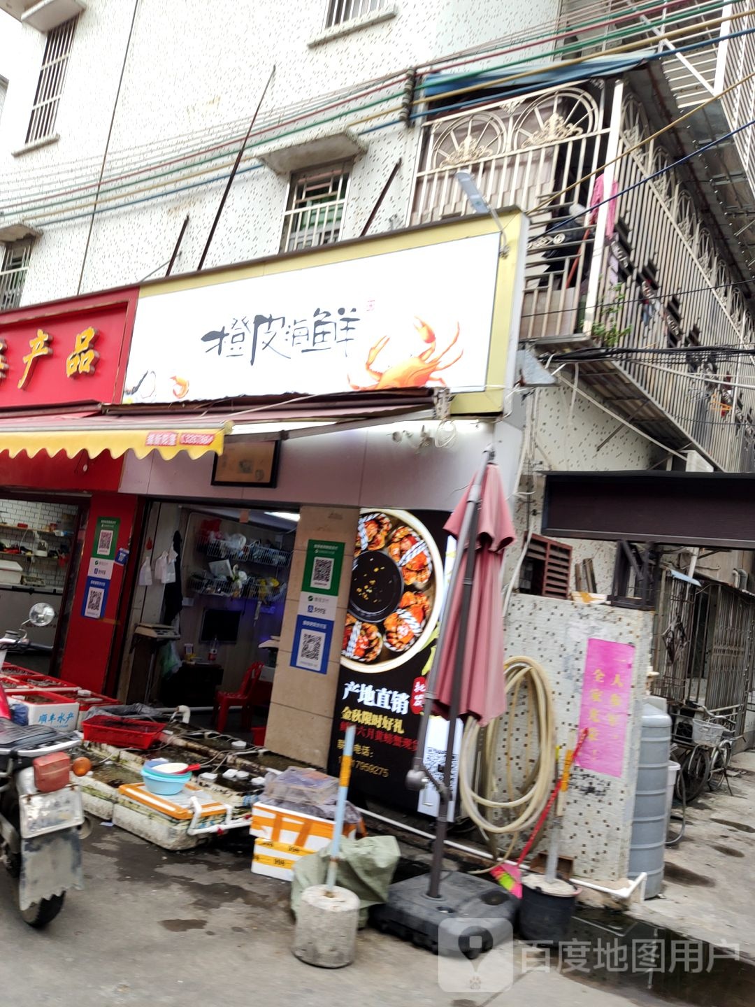 橙皮海先