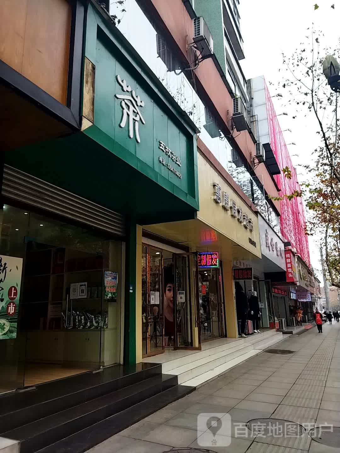 茶五权茶业