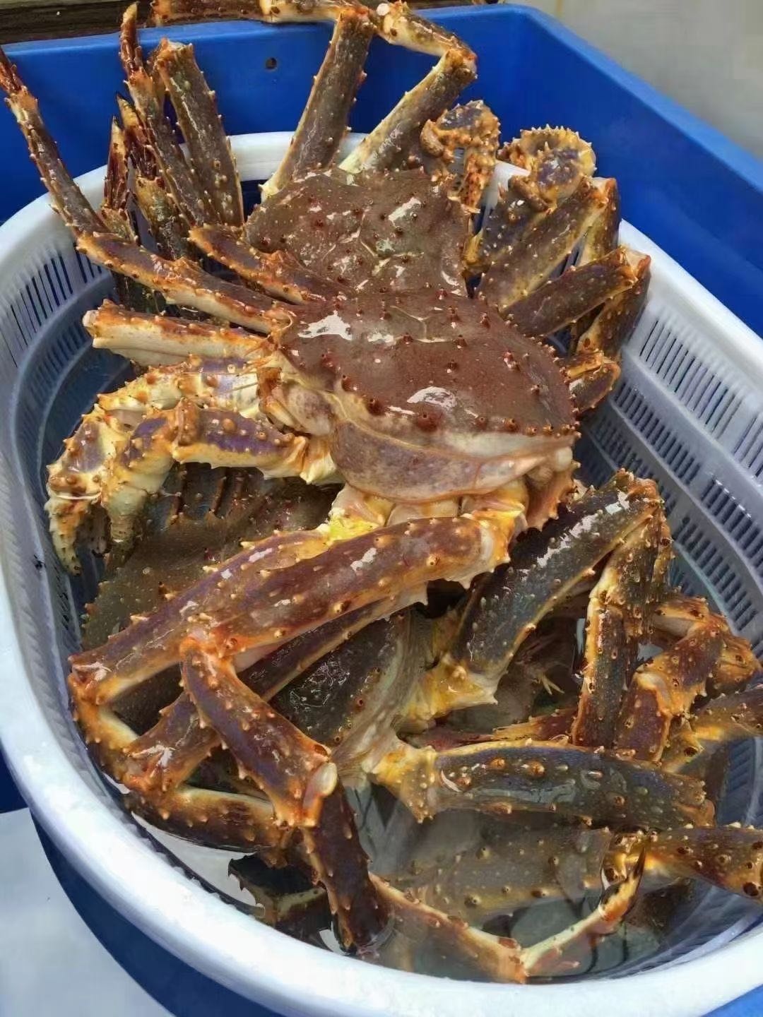 天天海鲜(汇林路店)