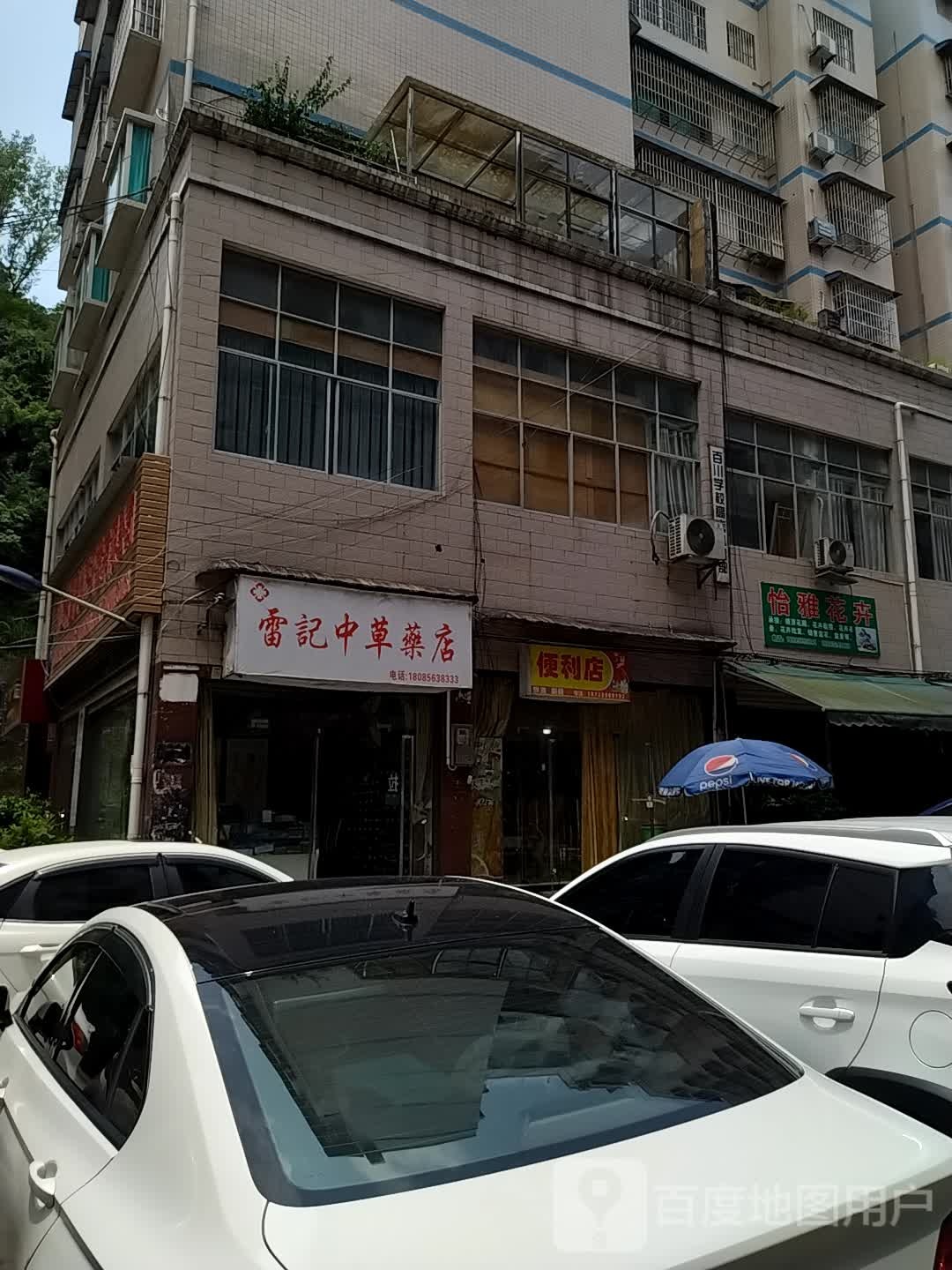 雷记中草药店