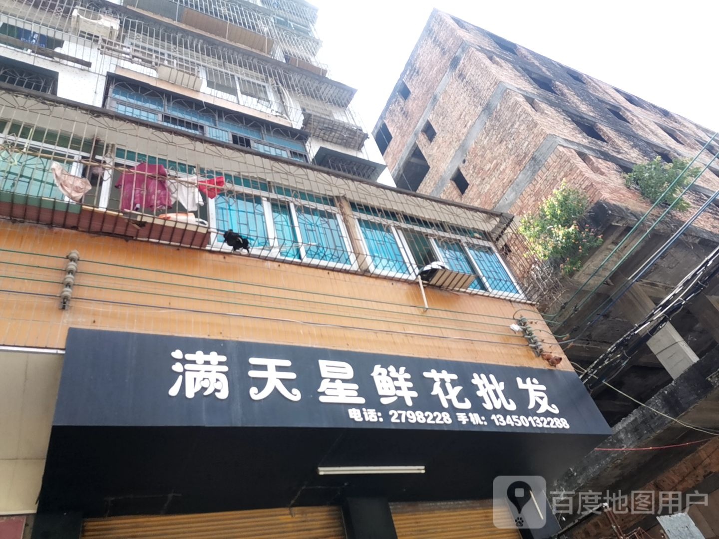 满天星鲜花批发