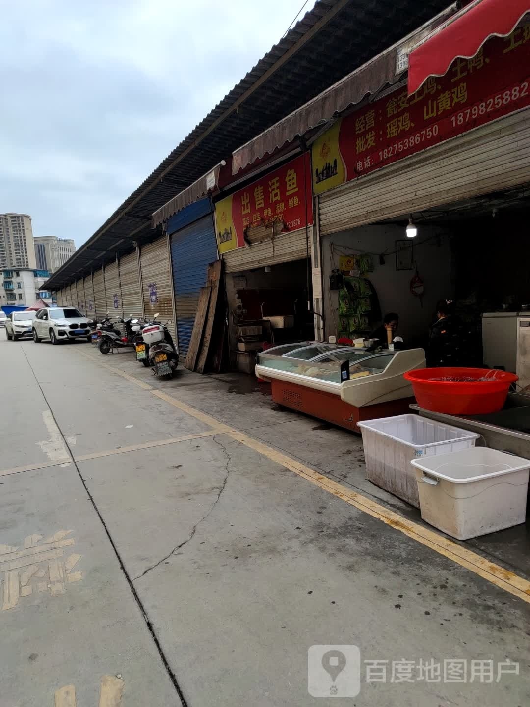 鸡鱼馆