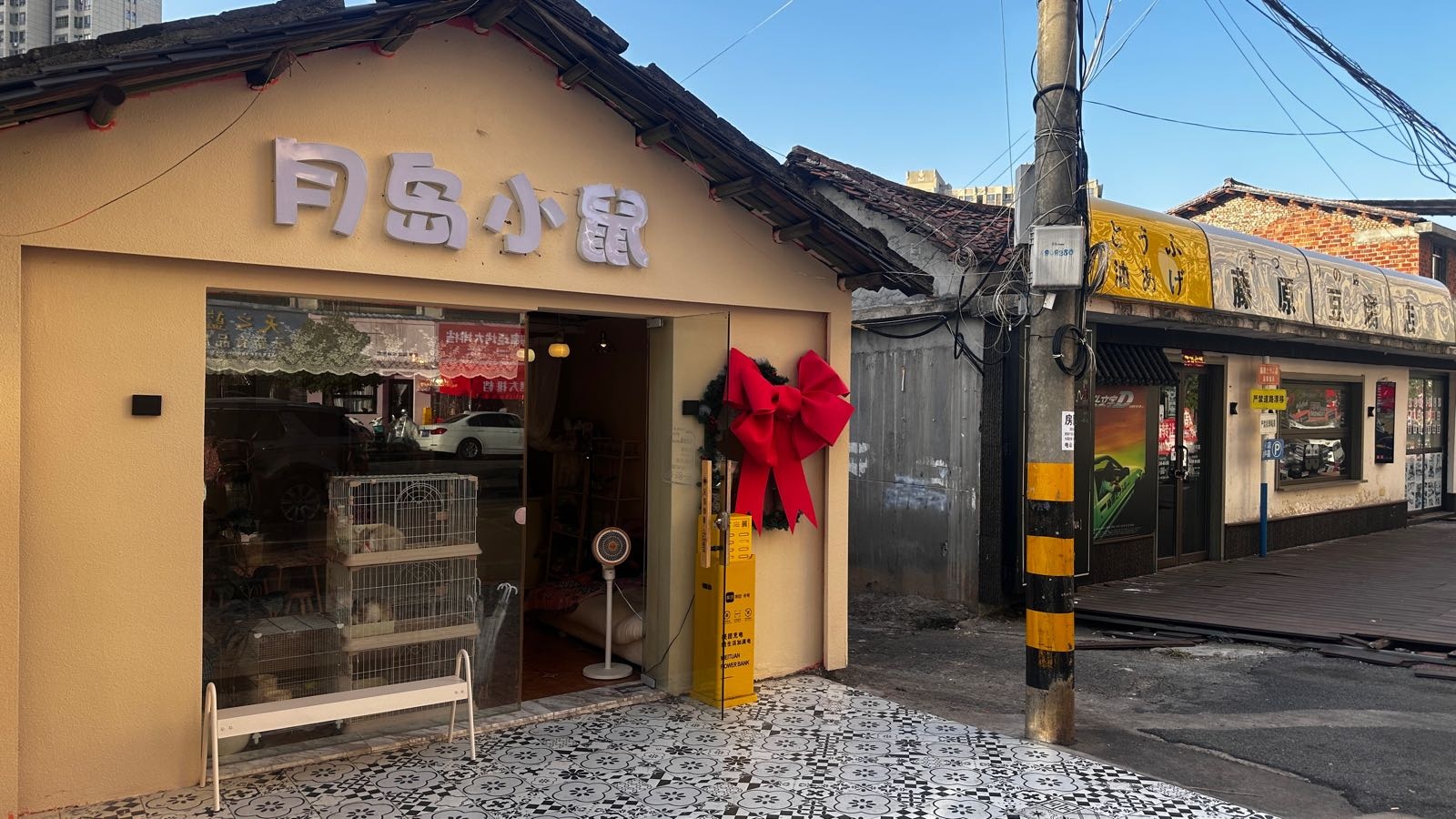 月岛小鼠异宠馆