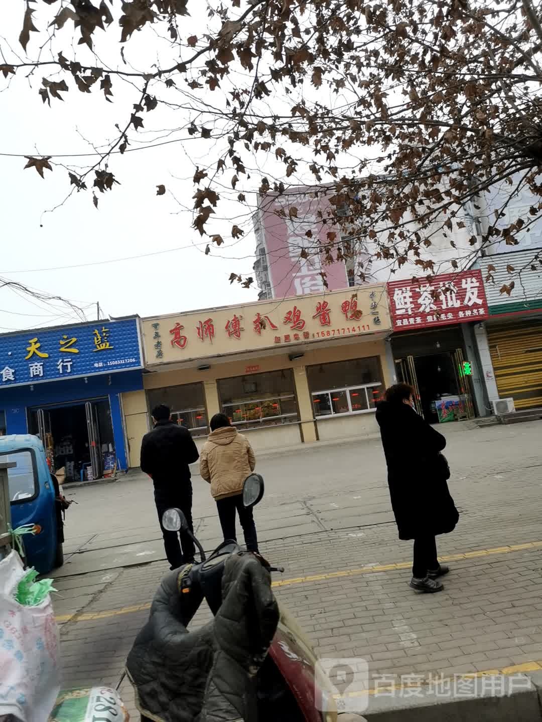 邓州市鲜茶批发