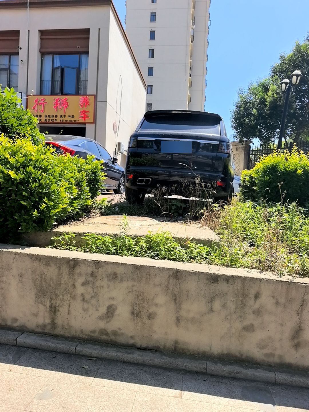 行狮养车