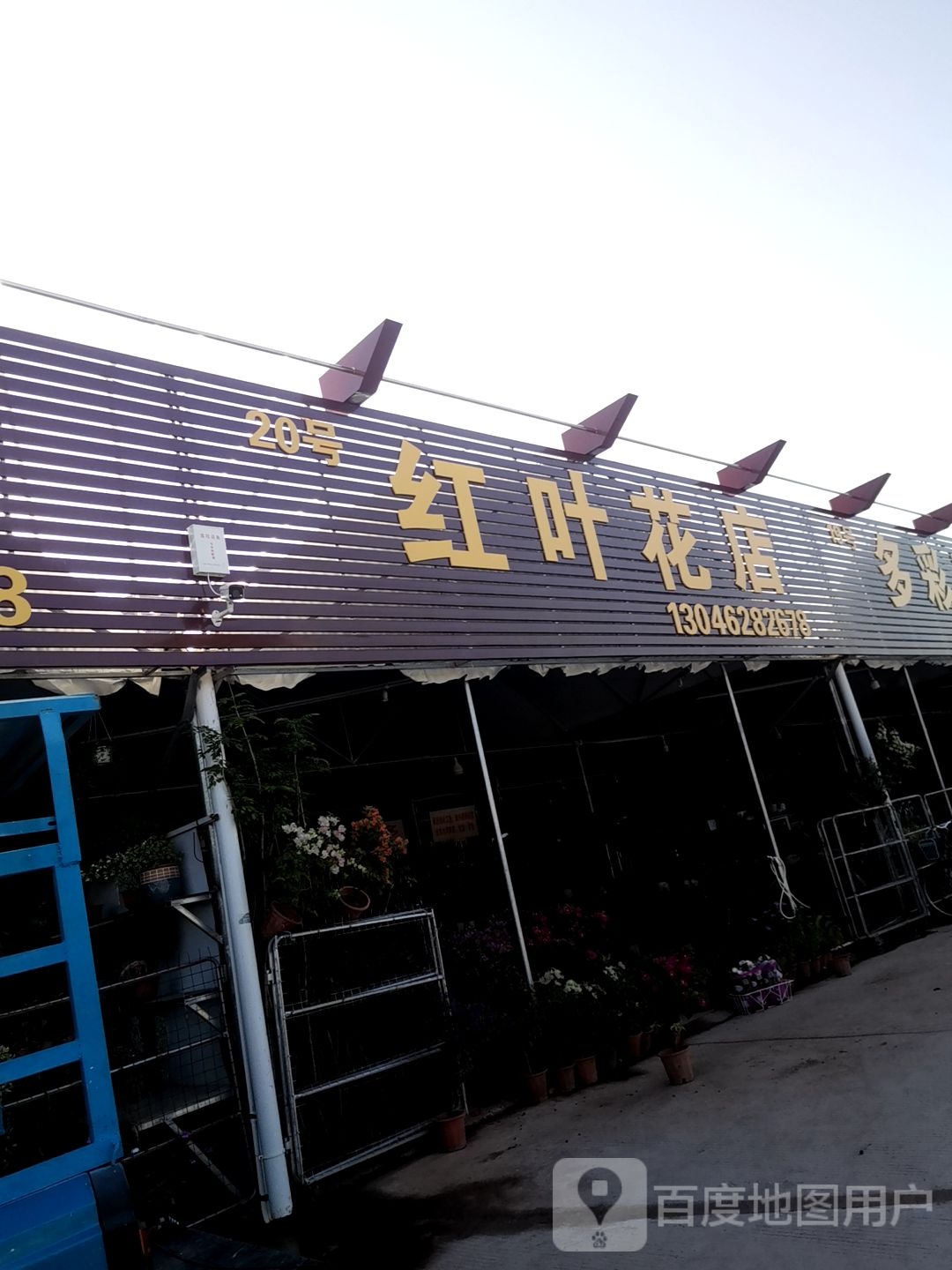 红叶花店