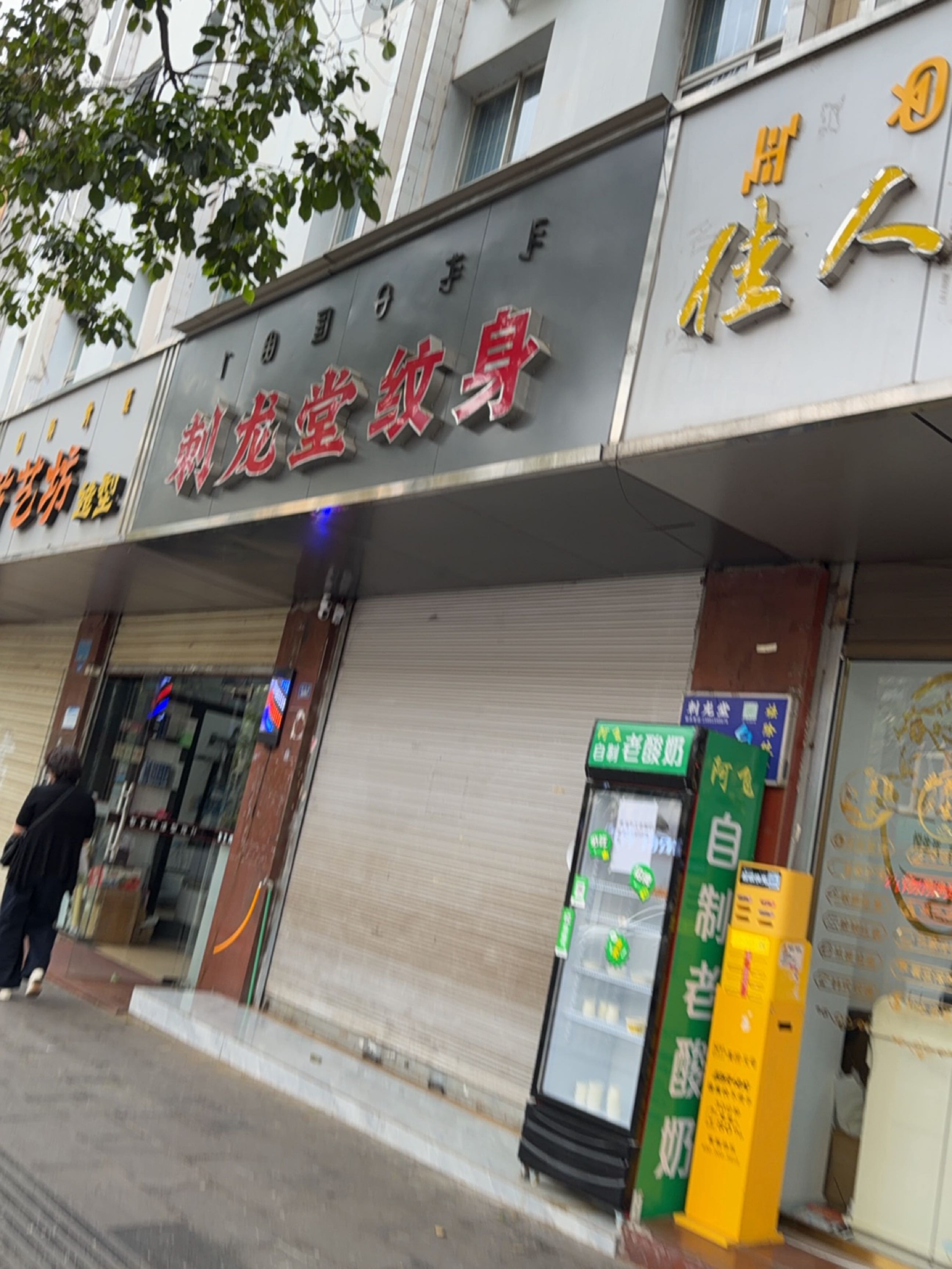 刺龙堂纹身