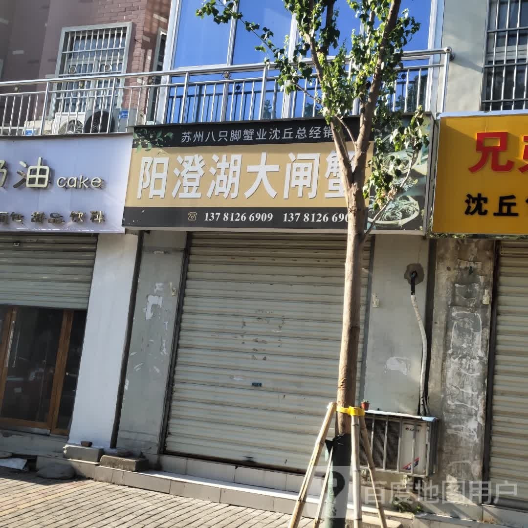 沈丘县槐店回族镇阳澄湖大闸蟹(顺河路店)