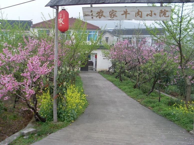 农家牛肉小院