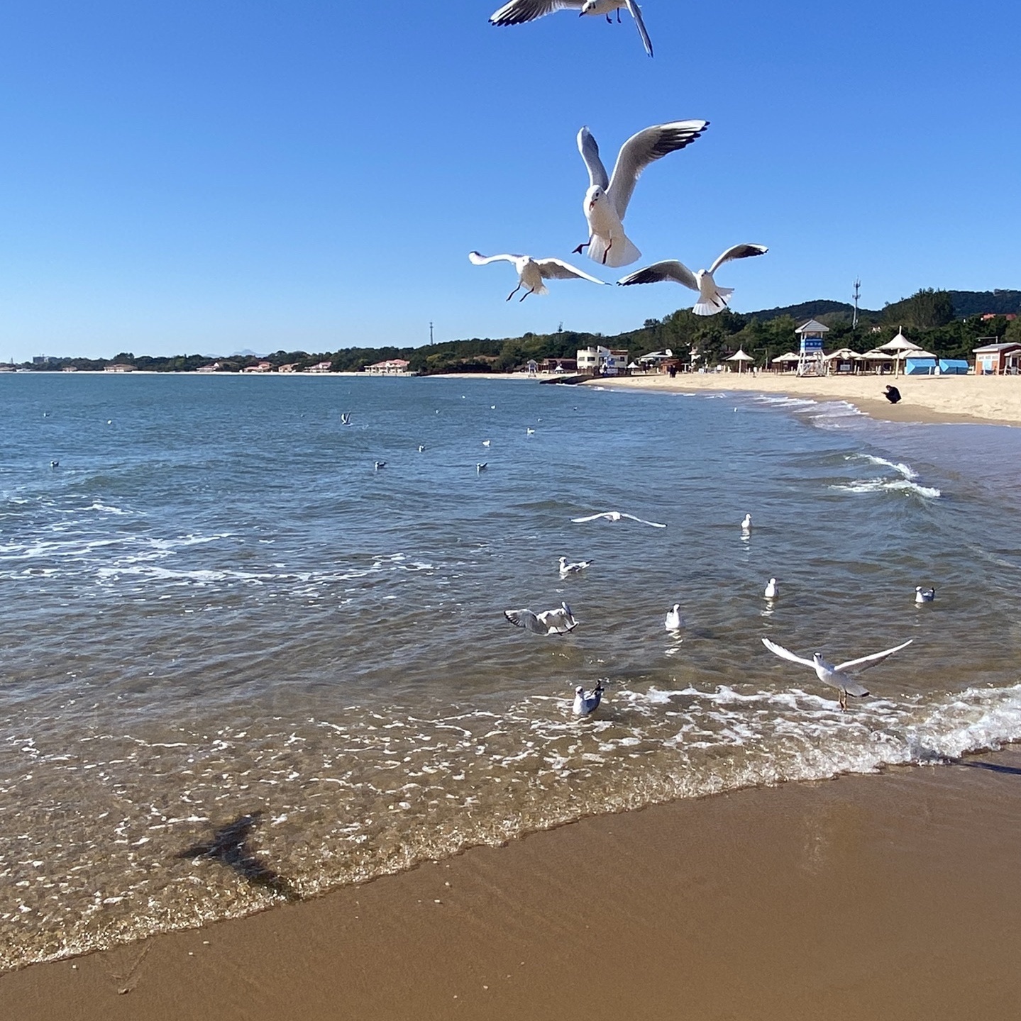 平水桥浴场