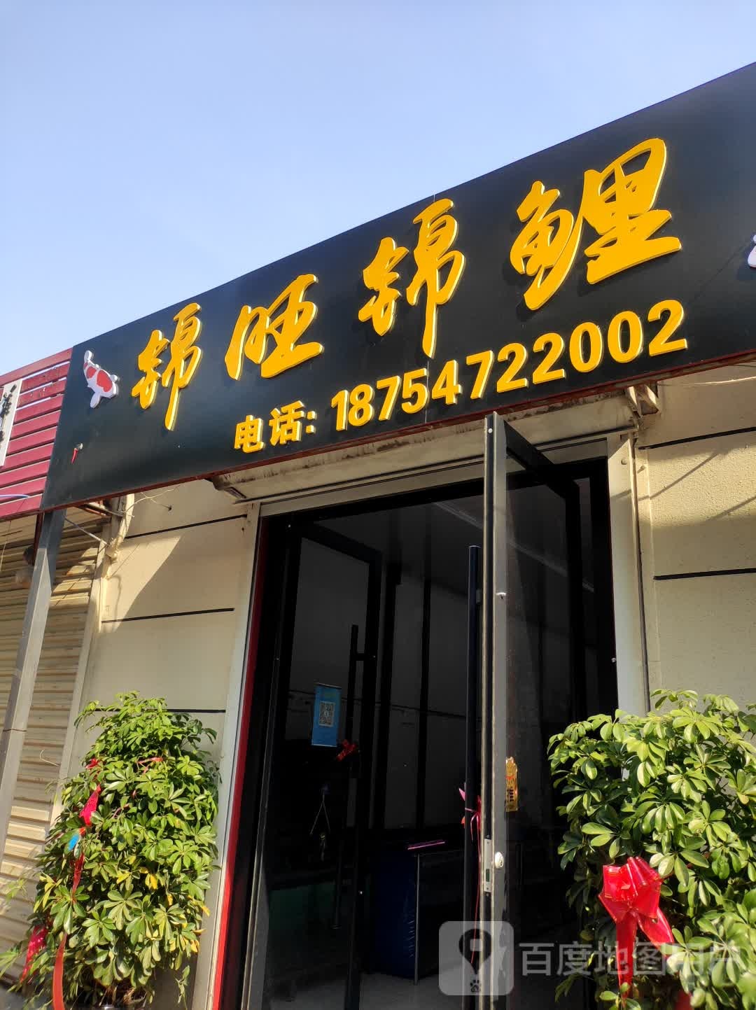 锦福锦鲤