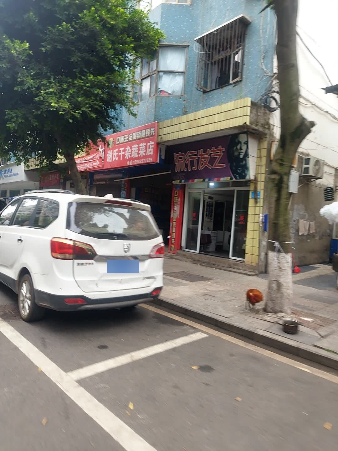 流行发艺
