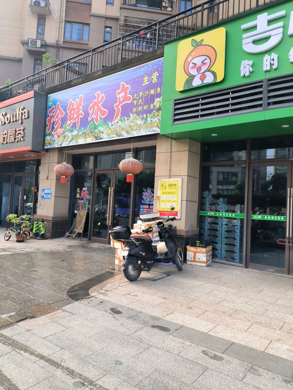 珍鲜水产(罗定碧桂园北门店)