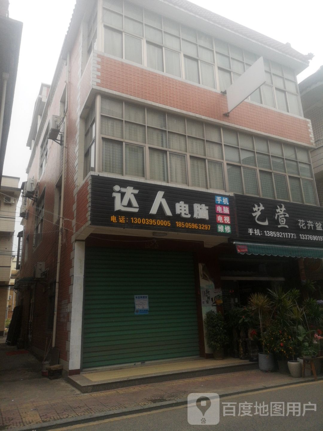 艺萱花卉盆景