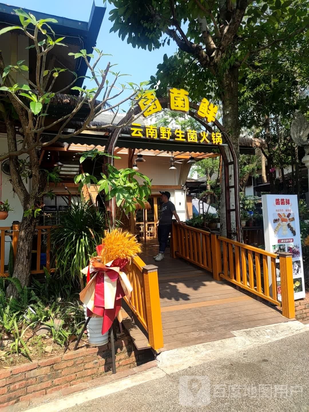 菌菌鲜萨邱云南野生菌火锅