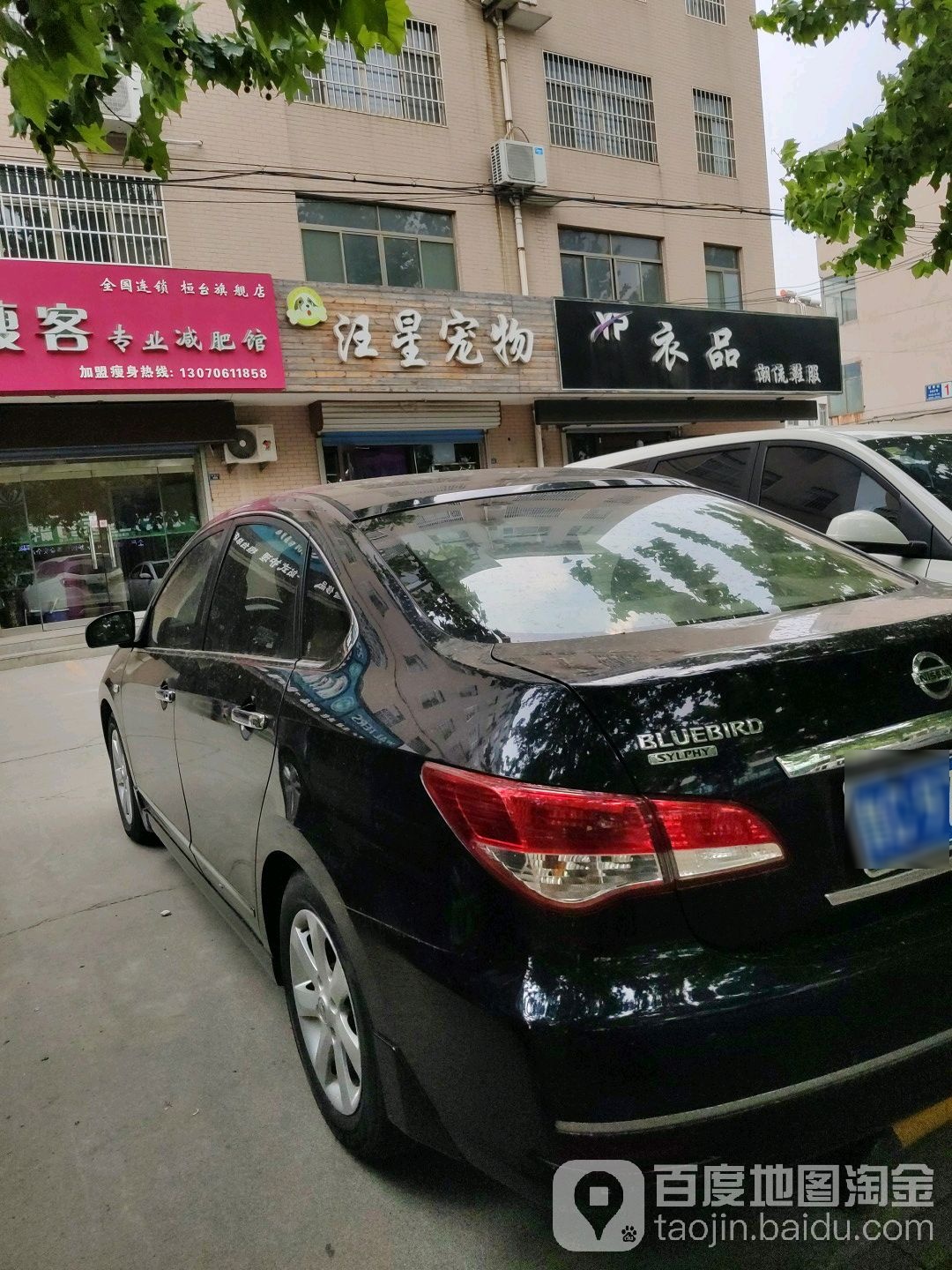 汪星宠物