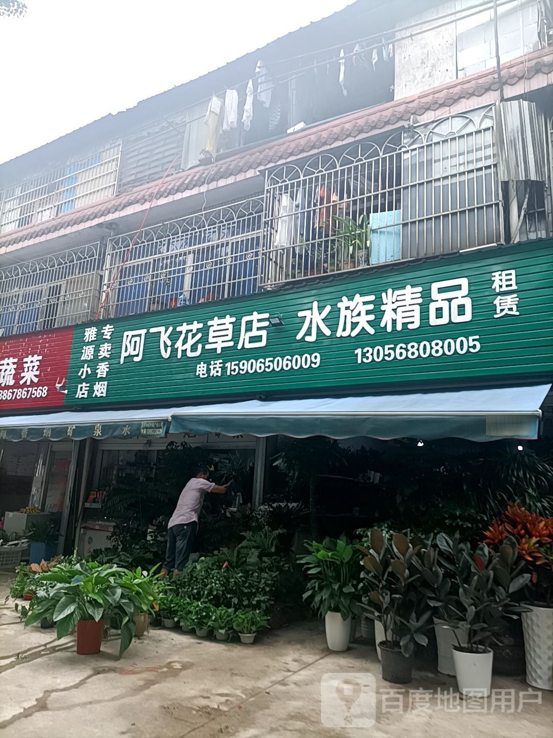 阿飞花草店