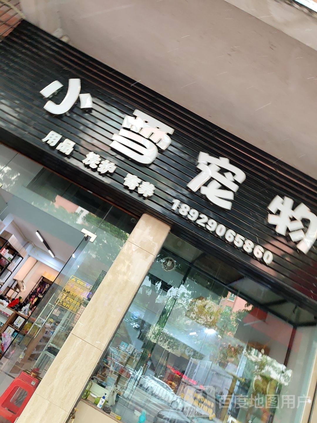 小雪宠物(耀兴花园店)