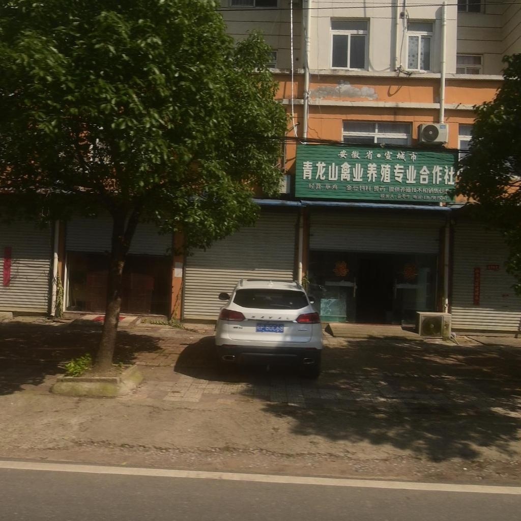 安徽省·宣城市青龙山禽业养殖专业合作社