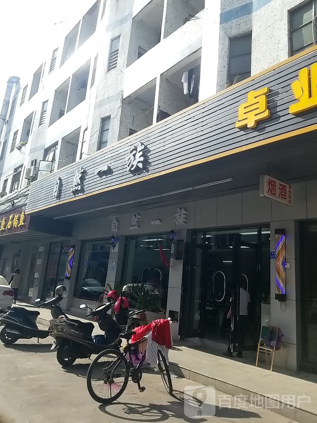 自然一族形象设计